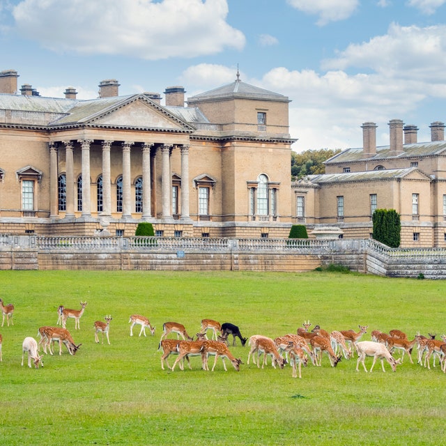 This Bucolic Corner of Southern England Has Never Been Buzzier