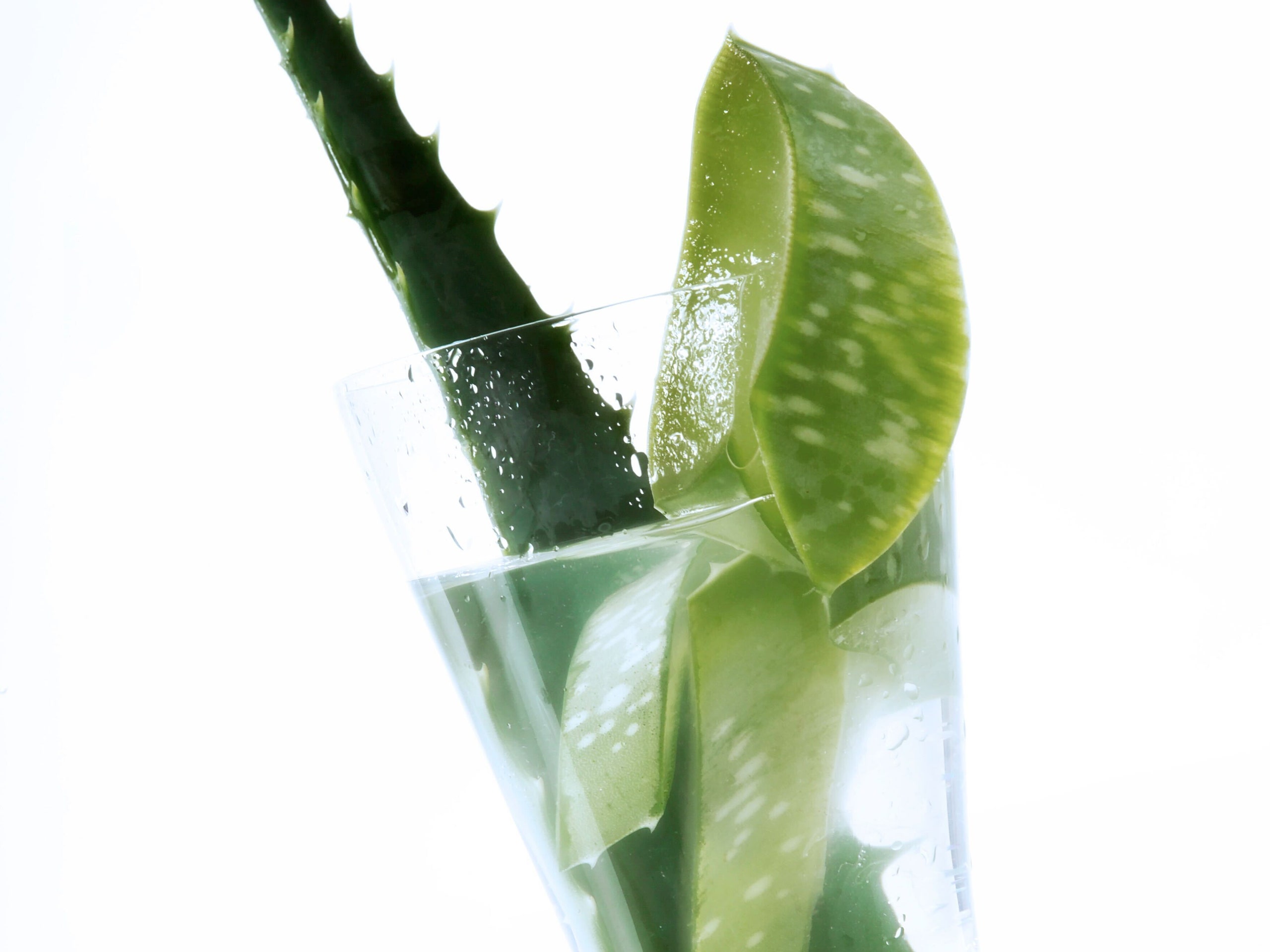 I Drink Aloe Vera Juice Every Morning&-Here Are All The Benefits