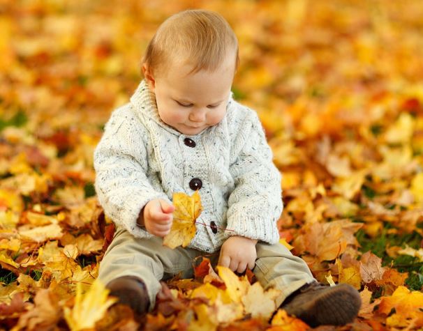 Autumn Adventures: Outdoor Activities for Children in the Autumn